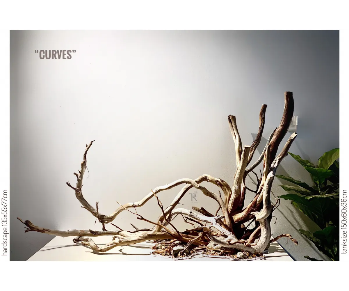 "Curves"