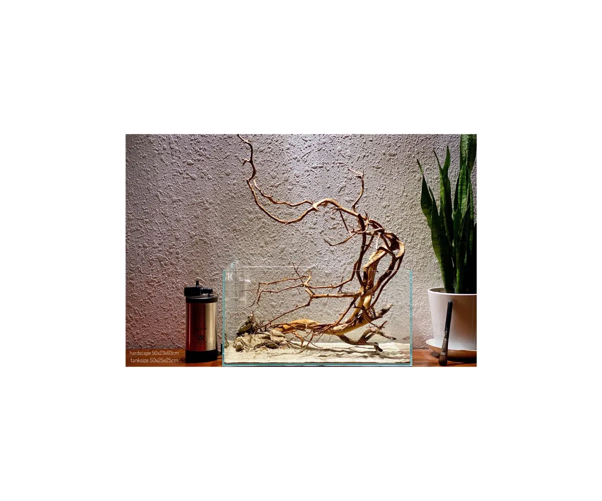 Hardscape No42