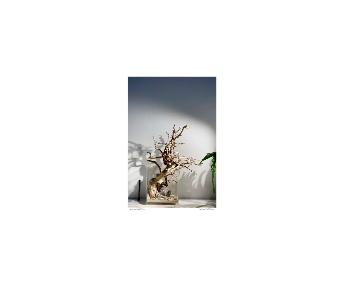 "Hardscape No64"