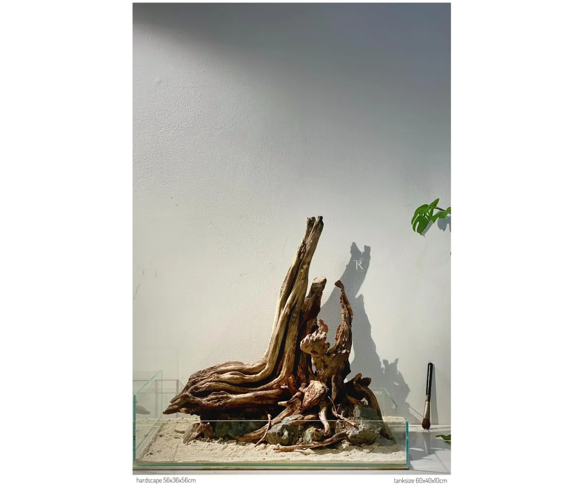 Hardscape No108