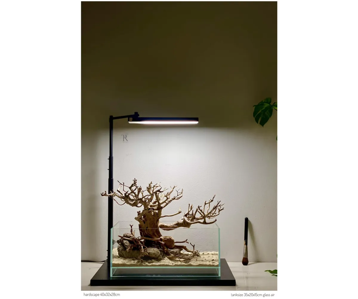 Hardscape 111