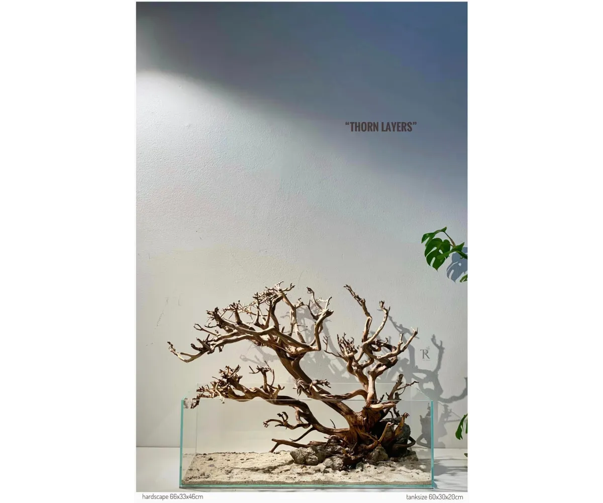 "Thorn Layers"